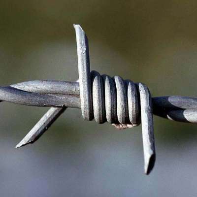 Cheap factory 14*16# cheap barbed wire/barbed wire sale/18 gauge high tensile barbed wire