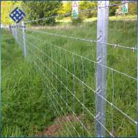 30 Years' factory supply heep/cow/cattle fence