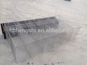 welded wire mink cage